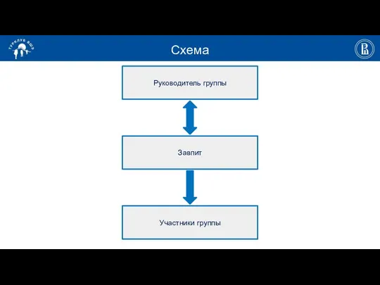 Схема Завпит Участники группы Руководитель группы