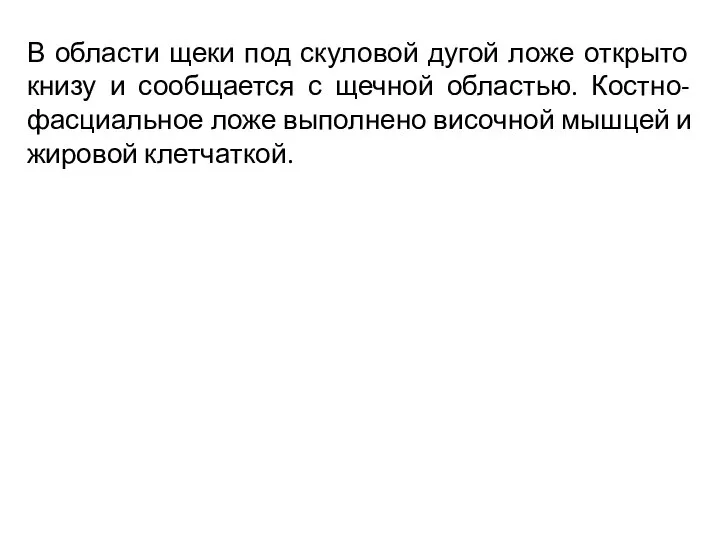 В области щеки под скуловой дугой ложе открыто книзу и сообщается