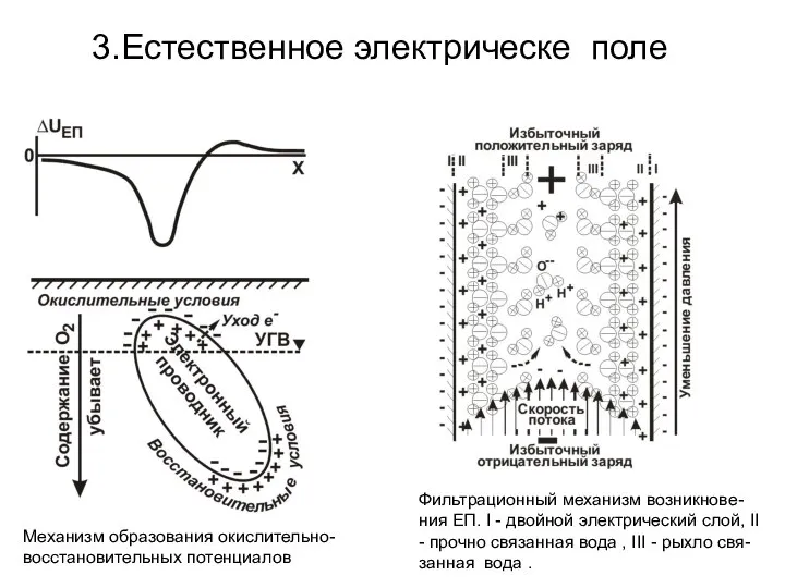 3.Естественное электрическе поле Механизм образования окислительно-восстановительных потенциалов Фильтрационный механизм возникнове-ния ЕП.