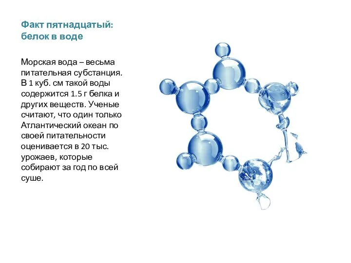 Факт пятнадцатый: белок в воде Морская вода – весьма питательная субстанция.