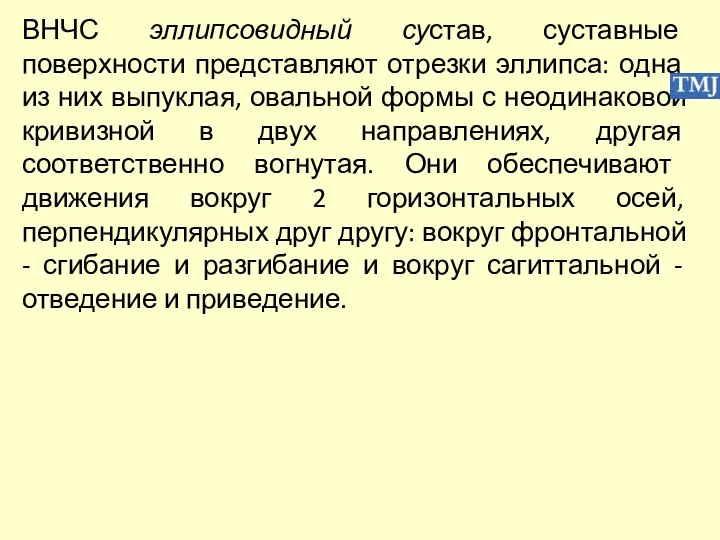 ВНЧС эллипсовидный сустав, суставные поверхности представляют отрезки эллипса: одна из них