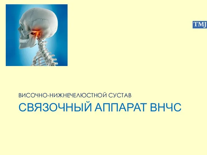 СВЯЗОЧНЫЙ АППАРАТ ВНЧС ВИСОЧНО-НИЖНЕЧЕЛЮСТНОЙ СУСТАВ