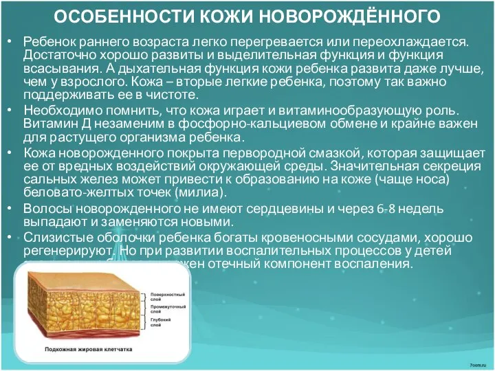 ОСОБЕННОСТИ КОЖИ НОВОРОЖДЁННОГО Ребенок раннего возраста легко перегревается или переохлаждается. Достаточно