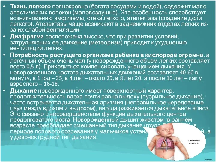 Ткань легкого полнокровна (богата сосудами и водой), содержит мало эластических волокон