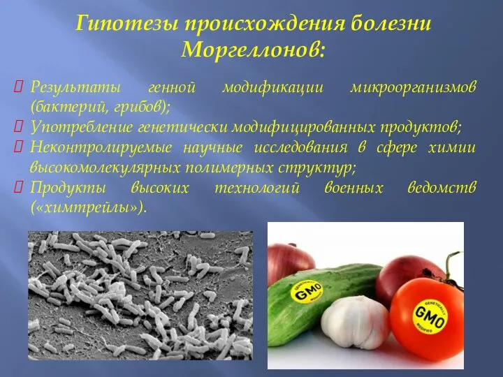 Гипотезы происхождения болезни Моргеллонов: Результаты генной модификации микроорганизмов (бактерий, грибов); Употребление