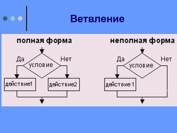 Ветвление