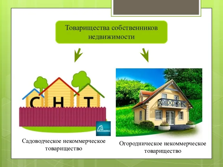 Товарищества собственников недвижимости Садоводческое некоммерческое товарищество Огородническое некоммерческое товарищество