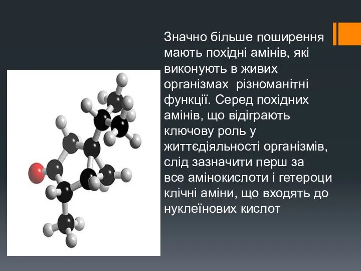 Значно більше поширення мають похідні амінів, які виконують в живих організмах