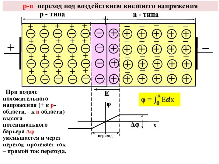 р-n переход под воздействием внешнего напряжения Е φ Δφ х р