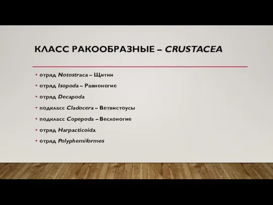 КЛАСС РАКООБРАЗНЫЕ – СRUSTACEA отряд Notostraca – Щитни отряд Isopoda –