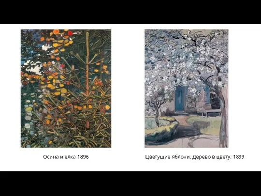 Осина и елка 1896 Цветущие яблони. Дерево в цвету. 1899