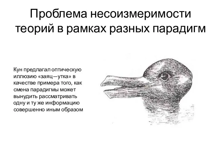 Проблема несоизмеримости теорий в рамках разных парадигм Кун предлагал оптическую иллюзию