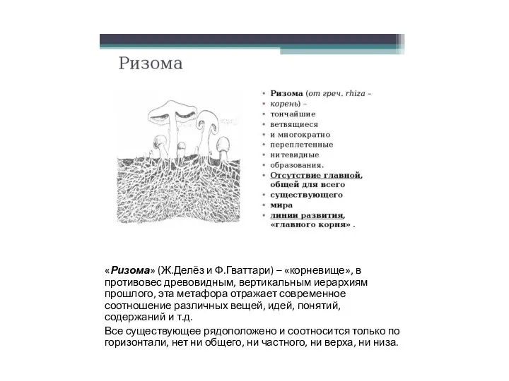 «Ризома» (Ж.Делёз и Ф.Гваттари) – «корневище», в противовес древовидным, вертикальным иерархиям