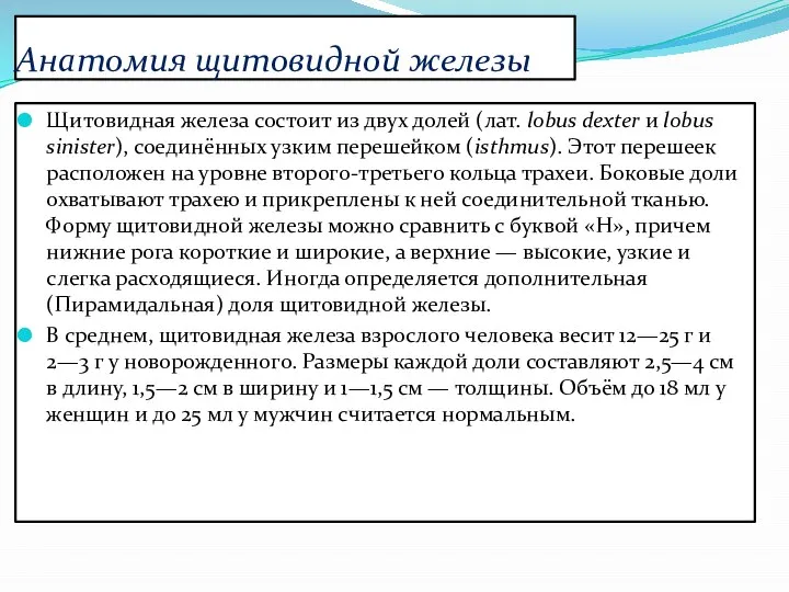 Анатомия щитовидной железы Щитовидная железа состоит из двух долей (лат. lobus