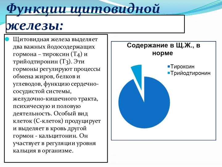 Функции щитовидной железы: Щитовидная железа выделяет два важных йодосодержащих гормона –