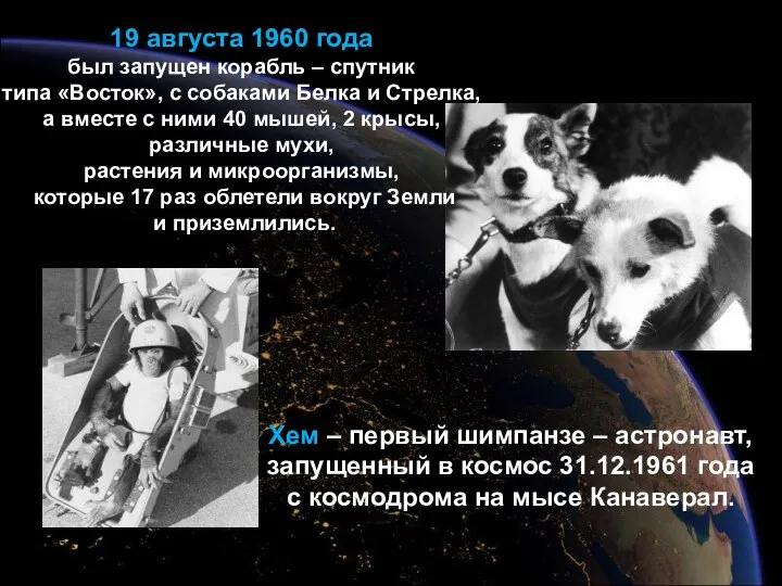 19 августа 1960 года был запущен корабль – спутник типа «Восток»,