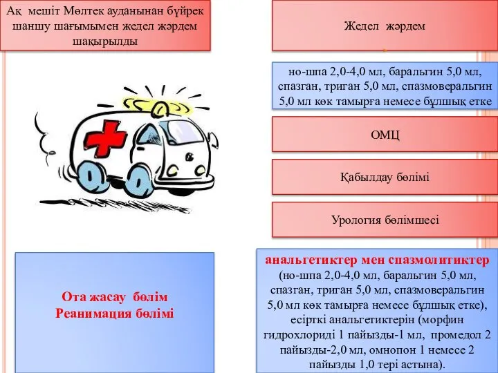 Ақ мешіт Мөлтек ауданынан бүйрек шаншу шағымымен жедел жәрдем шақырылды Жедел