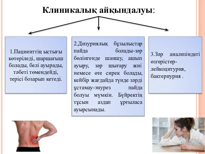 Клиникалық айқындалуы: 1.Пациенттің ыстығы көтеріледі, шаршағыш болады, белі ауырады, тәбеті төмендейді,