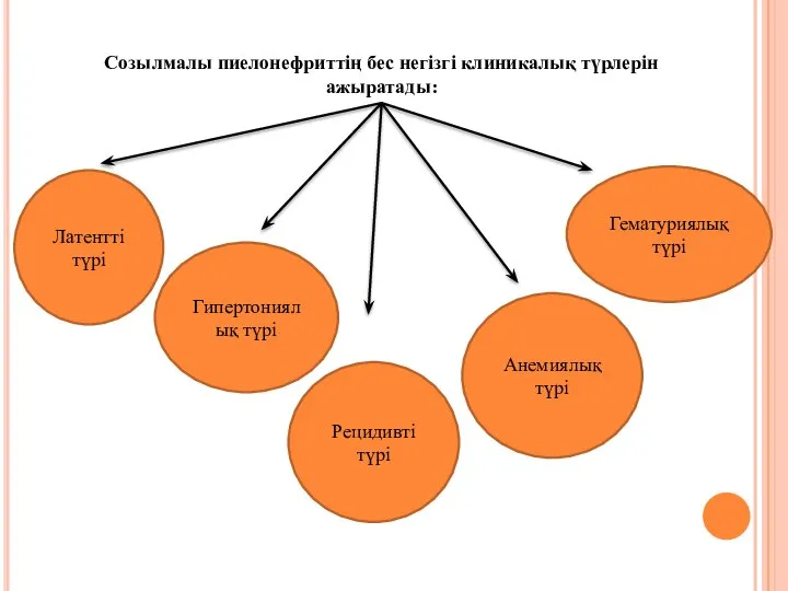 Созылмалы пиелонефриттің бес негізгі клиникалық түрлерін ажыратады: Латентті түрі Гипертониялық түрі