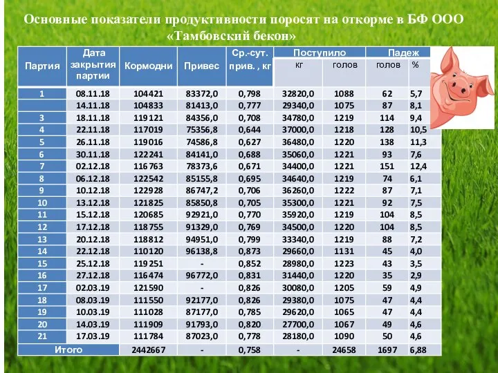 Основные показатели продуктивности поросят на откорме в БФ ООО «Тамбовский бекон»