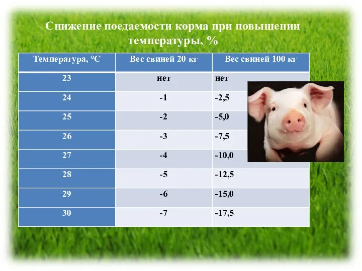 Снижение поедаемости корма при повышении температуры, %