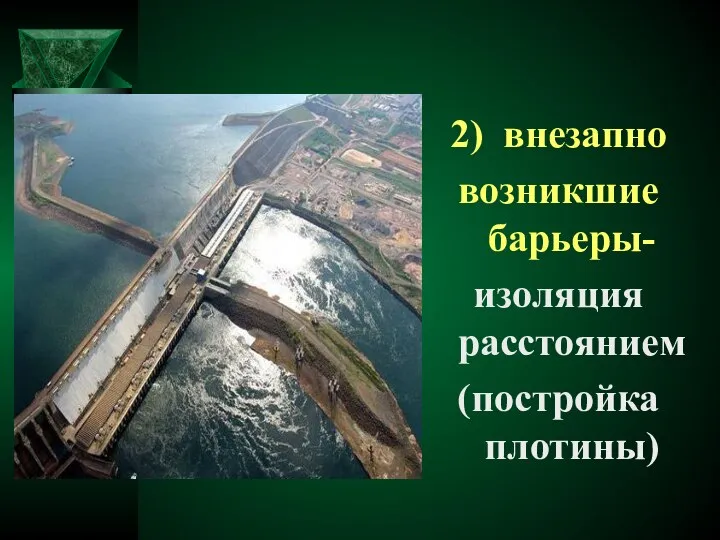 2) внезапно возникшие барьеры- изоляция расстоянием (постройка плотины)