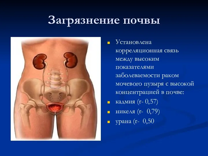 Загрязнение почвы Установлена корреляционная связь между высоким показателями заболеваемости раком мочевого