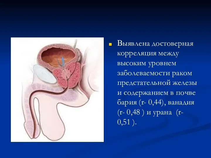 Выявлена достоверная корреляция между высоким уровнем заболеваемости раком предстательной железы и