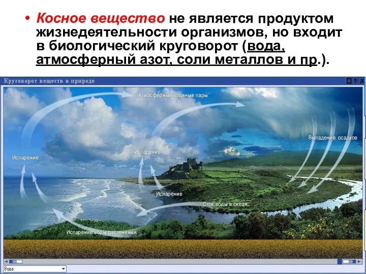Косное вещество не является продуктом жизнедеятельности организмов, но входит в биологический