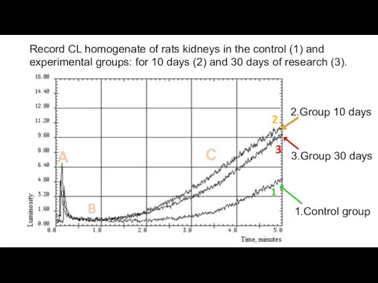 Record CL homogenate of rats kidneys in the control (1) and