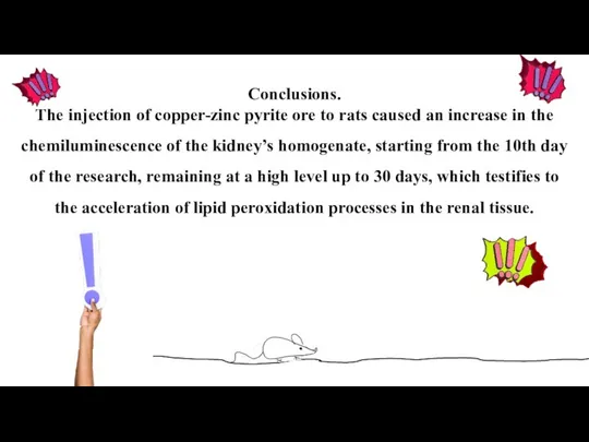 Conclusions. The injection of copper-zinc pyrite ore to rats caused an