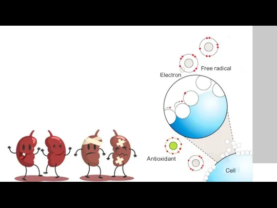 One of the pathogenetic links, when the body is exposed by