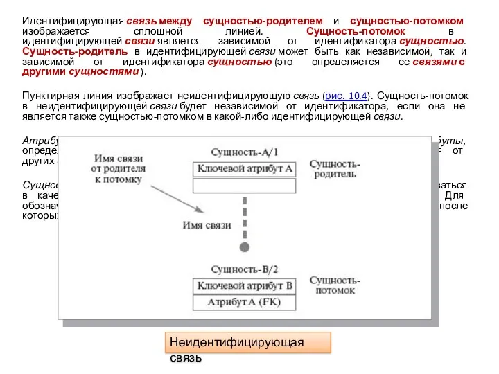 Идентифицирующая связь между сущностью-родителем и сущностью-потомком изображается сплошной линией. Сущность-потомок в