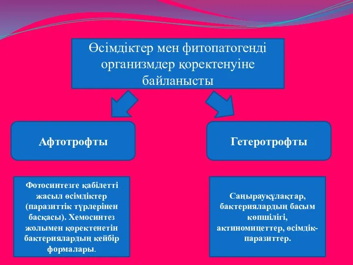 Өсімдіктер мен фитопатогенді организмдер қоректенуіне байланысты Афтотрофты Гетеротрофты Фотосинтезге қабілетті жасыл