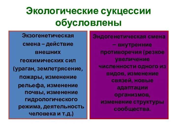 Экологические сукцессии обусловлены Экзогенетическая смена – действие внешних геохимических сил (ураган,