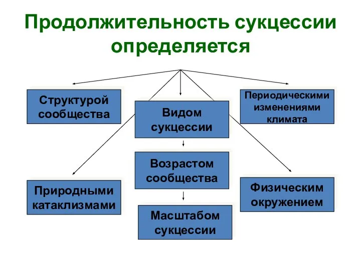 Продолжительность сукцессии определяется Структурой сообщества Видом сукцессии Природными катаклизмами Физическим окружением