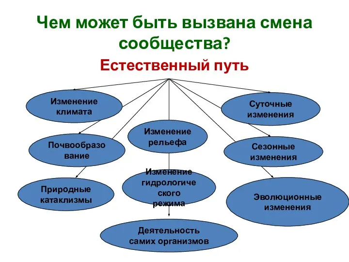 Чем может быть вызвана смена сообщества? Естественный путь Изменение климата Суточные