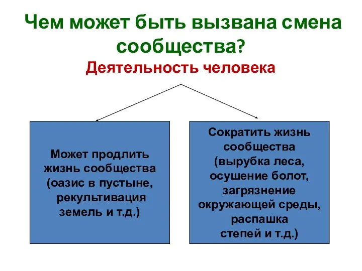 Чем может быть вызвана смена сообщества? Деятельность человека Может продлить жизнь