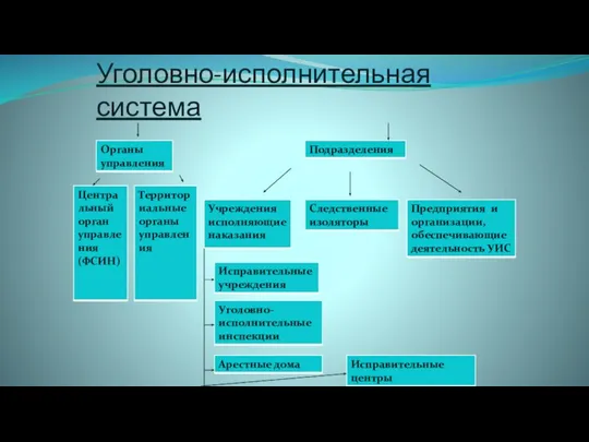 Уголовно-исполнительная система