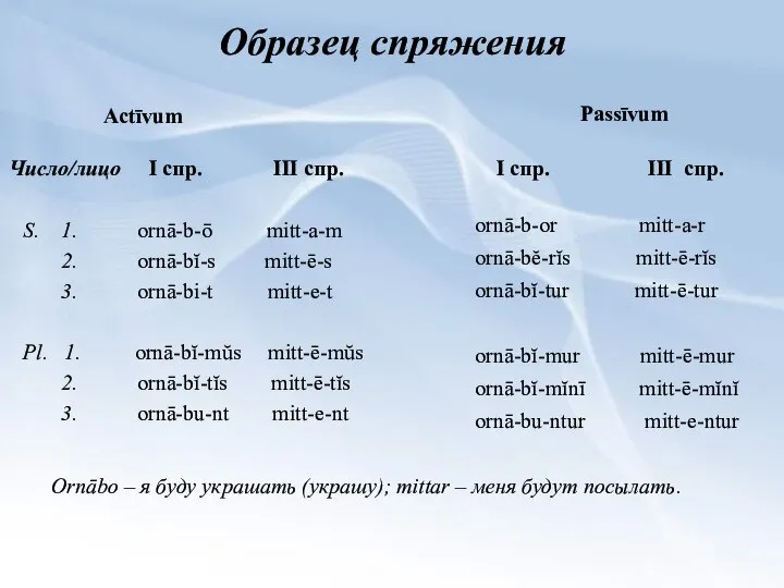 Образец спряжения S. 1. ornā-b-ō mitt-a-m 2. ornā-bĭ-s mitt-ē-s 3. ornā-bi-t