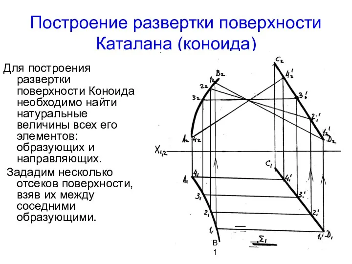 Построение развертки поверхности Каталана (коноида) Для построения развертки поверхности Коноида необходимо