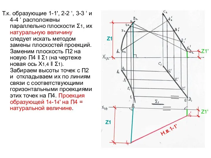 Т.к. образующие 1-1', 2-2 ‘, 3-3 ‘ и 4-4 ‘ расположены