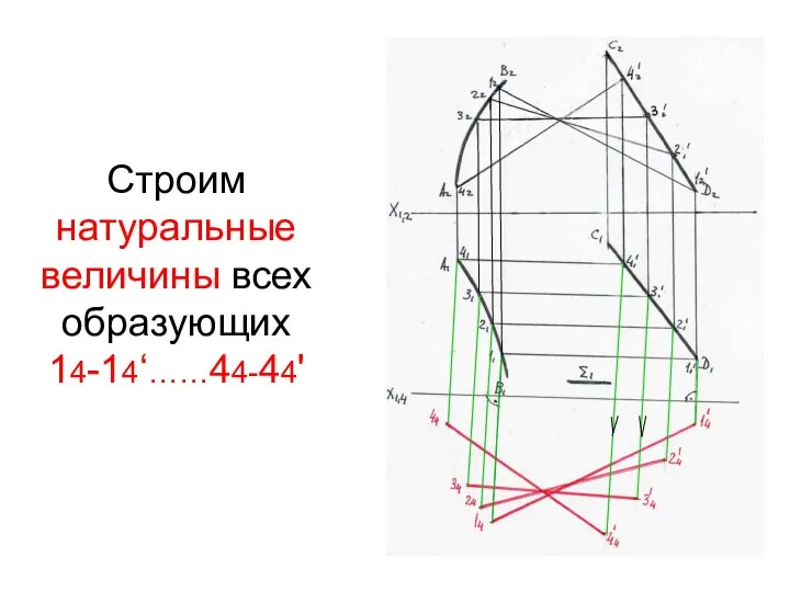 Строим натуральные величины всех образующих 14-14‘……44-44'