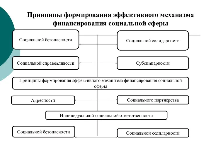 Принципы формирования эффективного механизма финансирования социальной сферы Социальной безопасности Социальной солидарности