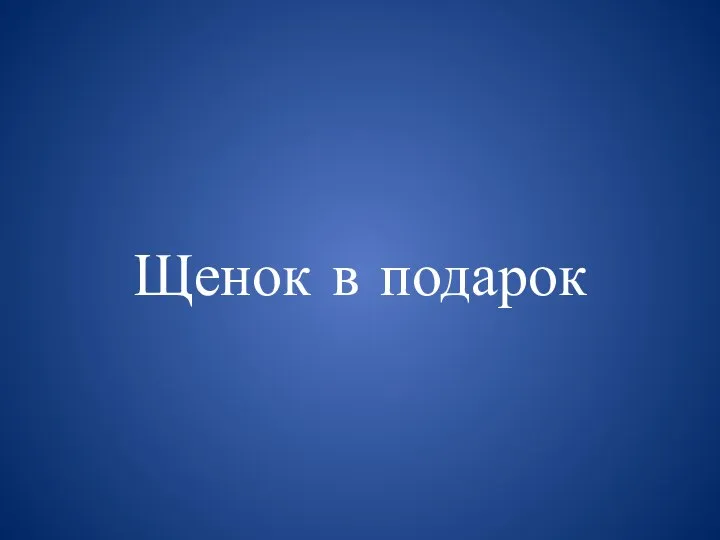 Щенок в подарок