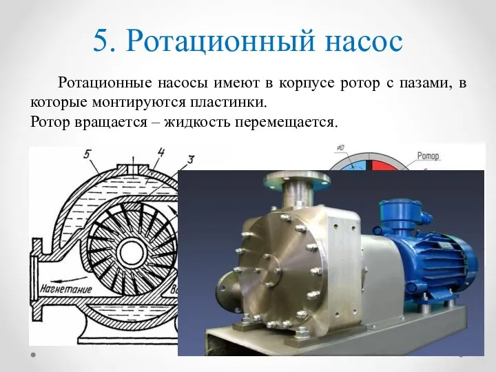 5. Ротационный насос Ротационные насосы имеют в корпусе ротор с пазами,