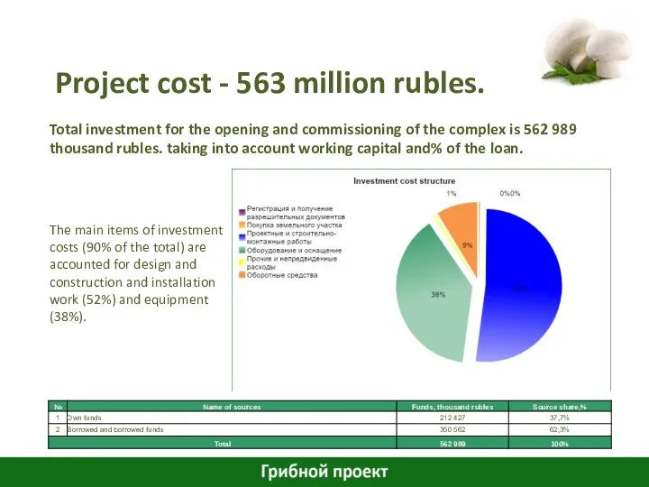 Project cost - 563 million rubles. Total investment for the opening