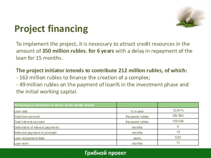 Project financing To implement the project, it is necessary to attract