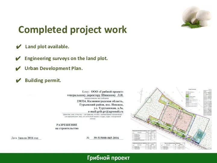 Completed project work Land plot available. Urban Development Plan. Engineering surveys