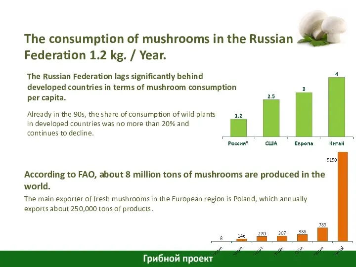 The Russian Federation lags significantly behind developed countries in terms of